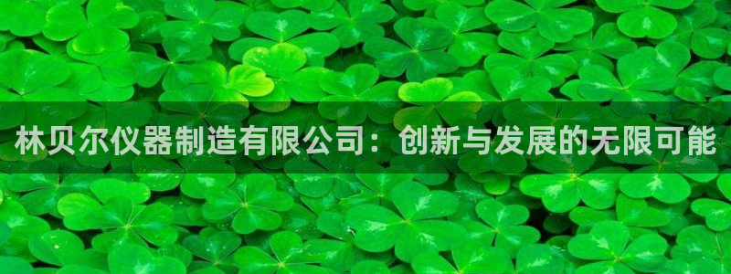 恒行注册全2O5O5O：林贝尔仪器制造有限公司：创新与发展的