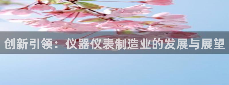 恒行登录就搜6ll5l：创新引领：仪器仪表制造业的发展与展望