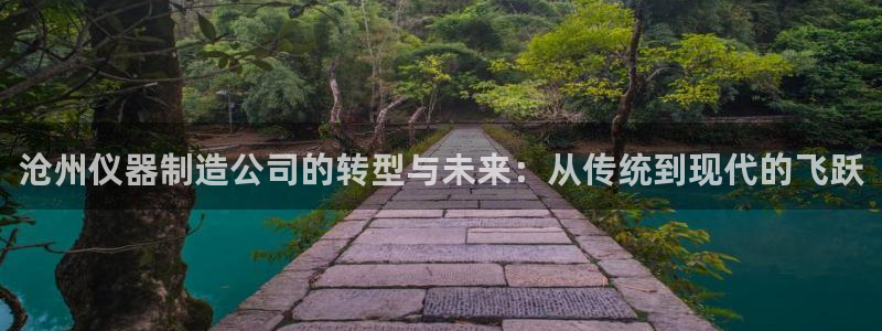 恒行主管首问6ll5l：沧州仪器制造公司的转型与未来：从传统
