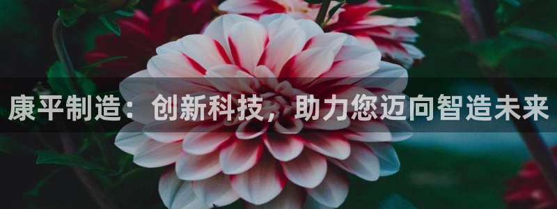 恒行开户娱乐6ll5l特惠：康平制造：创新科技，助力您迈向智