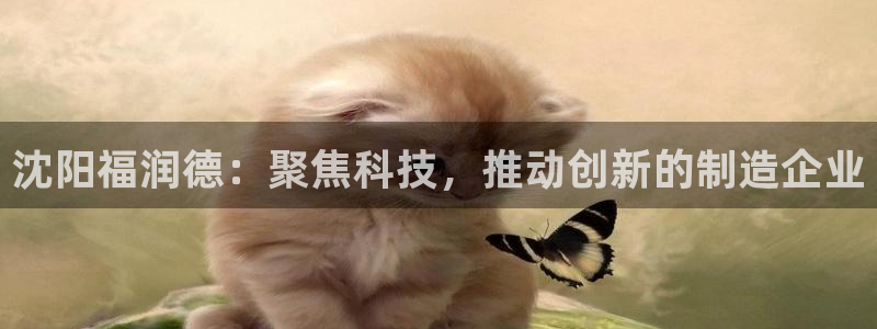 恒行娱乐吴74OOO5：沈阳福润德：聚焦科技，推动创新的制造