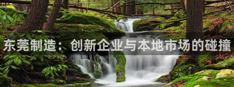 恒行娱乐招收点赞5ll533主管：东莞制造：创新企业与本地市