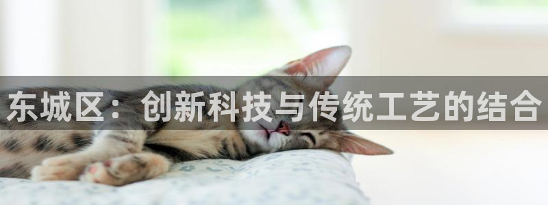 恒行2王74OOO5：东城区：创新科技与传统工艺的结合