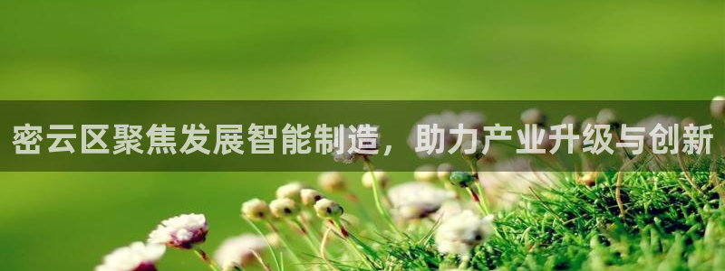 恒行娱乐5ll533主管耐心：密云区聚焦发展智能制造，助力产