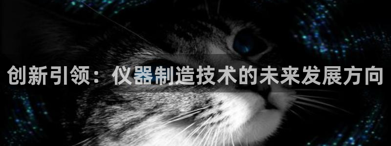 恒行2褚74OOO5：创新引领：仪器制造技术的未来发展方向