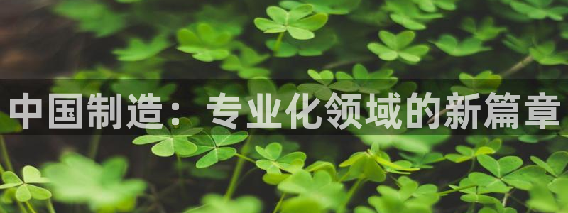 恒行3乃5O6917：中国制造：专业化领域的新篇章