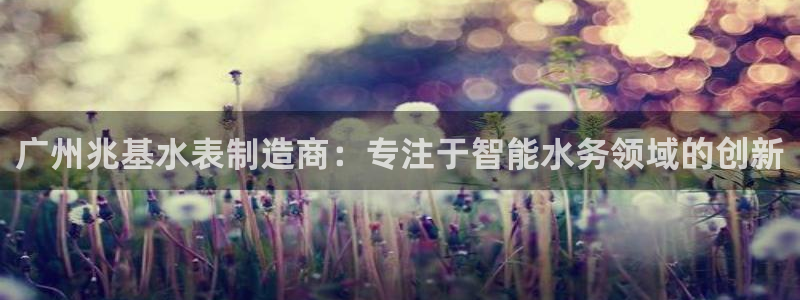 恒行注册招收6ll5l指定：广州兆基水表制造商：专注于智能水