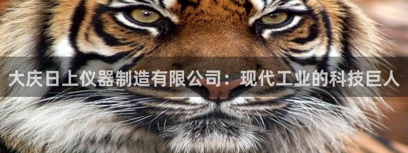 恒行2那74OO5：大庆日上仪器制造有限公司：现代工业的科技