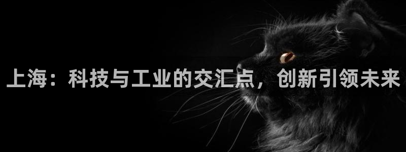 恒行2卫74OOO5：上海：科技与工业的交汇点，创新引领未来