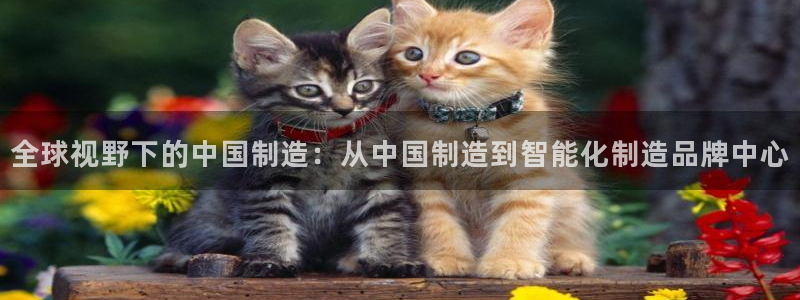 恒行娱乐陈74OOO5：全球视野下的中国制造：从中国制造到智