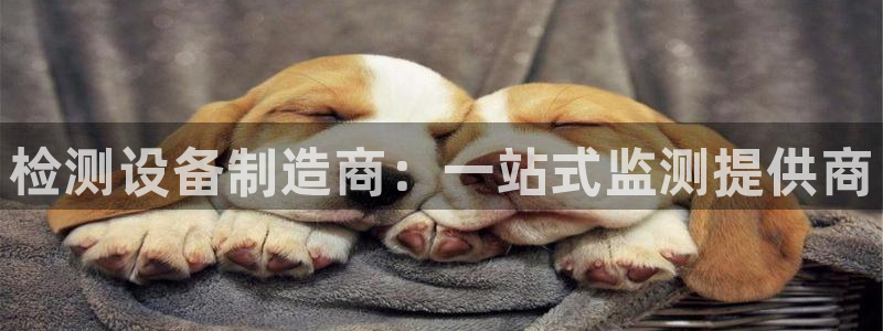 恒行代理总代主导 6ll5l：检测设备制造商：一站式监测提供