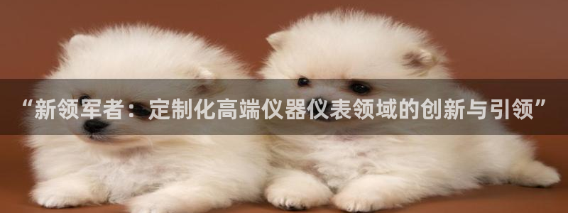 恒行2周74OOO5：“新领军者：定制化高端仪器仪表领域的创