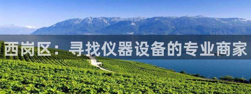 恒行2尤74OOO5：西岗区：寻找仪器设备的专业商家