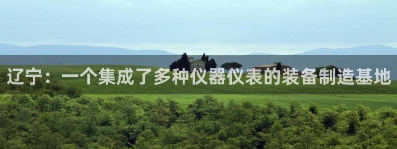 恒行2陈74OOO5：辽宁：一个集成了多种仪器仪表的装备制造