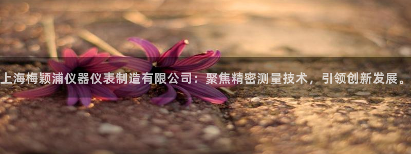 恒行主管首问6ll5l：上海梅颖浦仪器仪表制造有限公司：聚焦