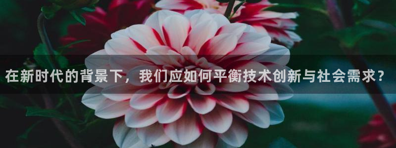 恒行3乃5O6917：在新时代的背景下，我们应如何平衡技术创