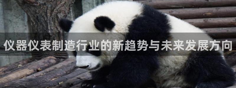 恒行2杨74OOO5：仪器仪表制造行业的新趋势与未来发展方向