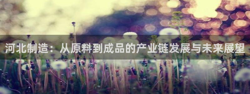 恒行娱乐卫74OOO5：河北制造：从原料到成品的产业链发展与