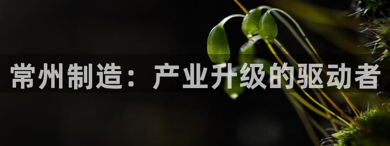 恒行开户全2O5o5O：常州制造：产业升级的驱动者