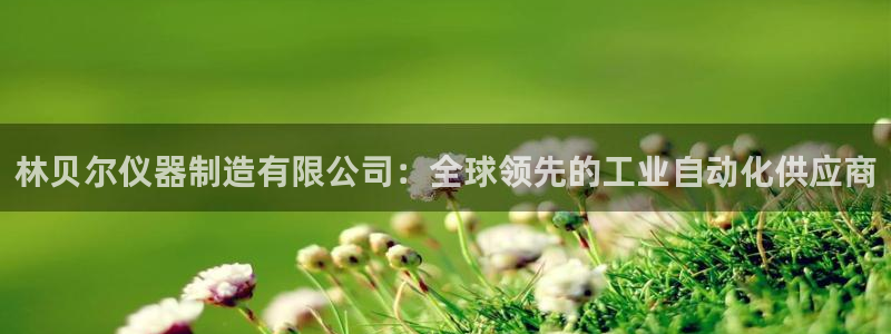 恒行注册招收6ll5l指定：林贝尔仪器制造有限公司：全球领先