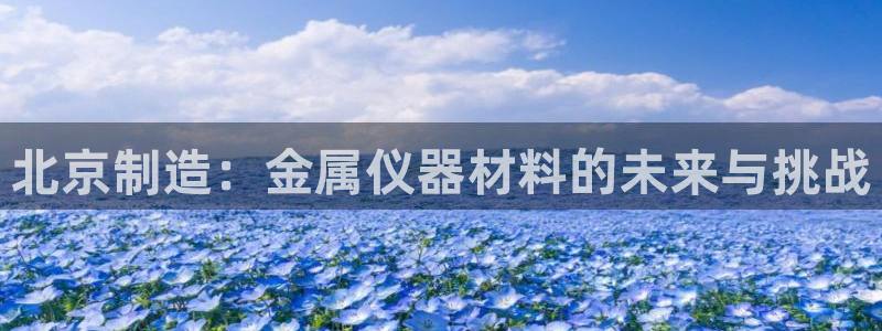 恒行2杨74OOO5：北京制造：金属仪器材料的未来与挑战
