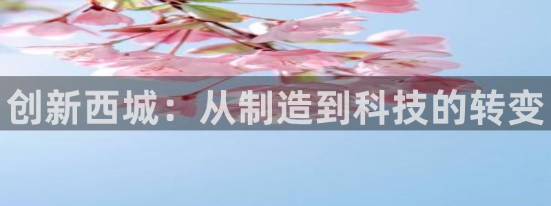 恒行娱乐河沂74ooo5程：创新西城：从制造到科技的转变