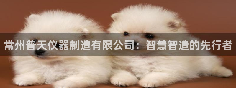 恒行2蒋74OOO5：常州普天仪器制造有限公司：智慧智造的先