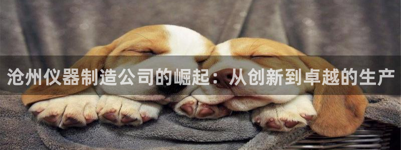 恒行招商老大诚挚 6ll5l：沧州仪器制造公司的崛起：从创新