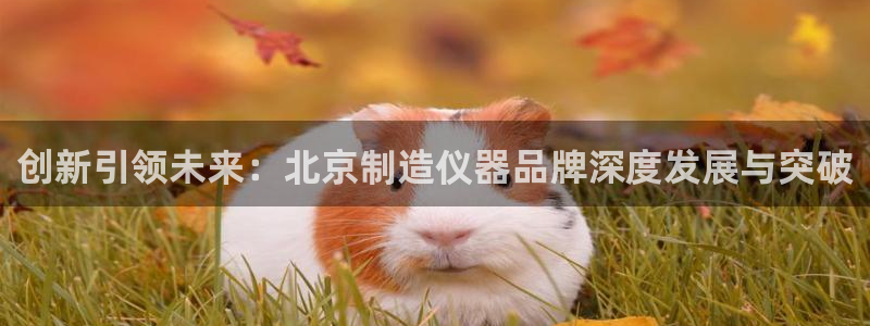 恒行2韩74OOO5：创新引领未来：北京制造仪器品牌深度发展