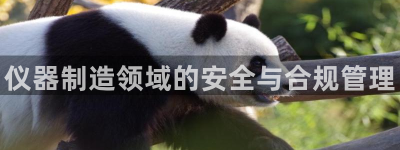 恒行娱乐蒋74OOO5：仪器制造领域的安全与合规管理