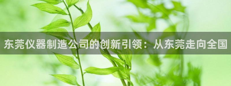 恒行2下74OO5：东莞仪器制造公司的创新引领：从东莞走向全