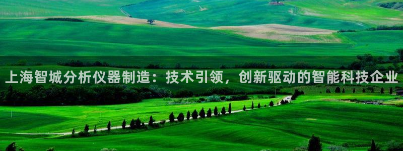 恒行2卫74OOO5：上海智城分析仪器制造：技术引领，创新驱