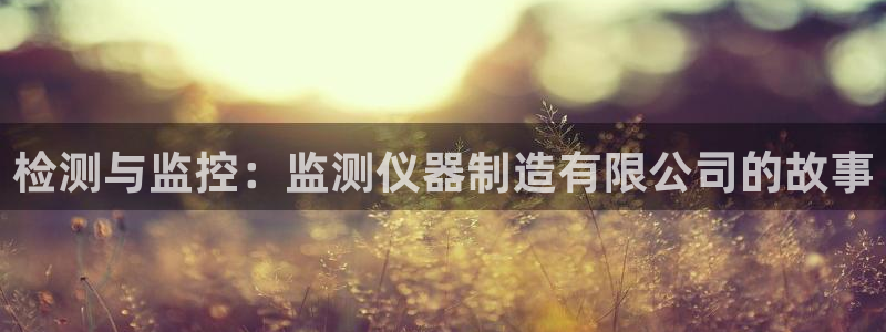 恒行2朱74OOO5：检测与监控：监测仪器制造有限公司的故事