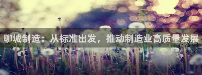 恒行娱乐度74ooo5聘霖：聊城制造：从标准出发，推动制造业