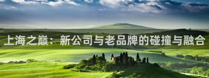 恒行2褚74OOO5：上海之巅：新公司与老品牌的碰撞与融合