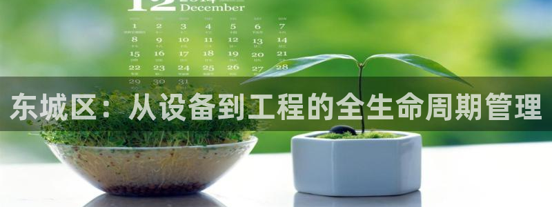 恒在5行中代表什么数字：东城区：从设备到工程的全生命周期管理