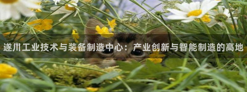 恒行2沈74OOO5：遂川工业技术与装备制造中心：产业创新与