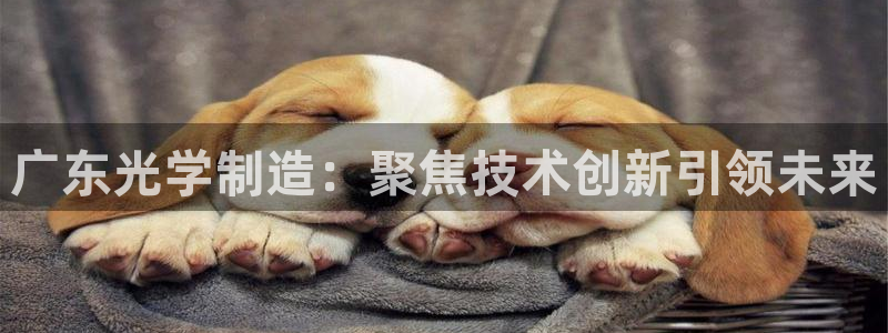 恒行娱乐冯74OOO5：广东光学制造：聚焦技术创新引领未来