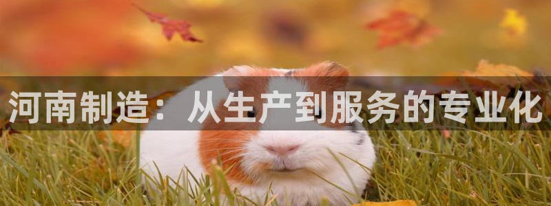 恒行娱乐婆蹬74ooo5盗：河南制造：从生产到服务的专业化