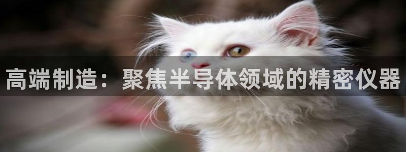 恒行2褚74OOO5：高端制造：聚焦半导体领域的精密仪器