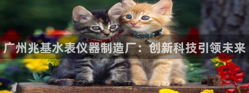 恒行2吴74OOO5：广州兆基水表仪器制造厂：创新科技引领未