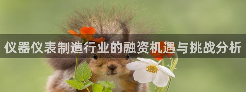 恒行2朱74OOO5：仪器仪表制造行业的融资机遇与挑战分析