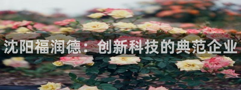 恒行登录老大6ll5l典型：沈阳福润德：创新科技的典范企业