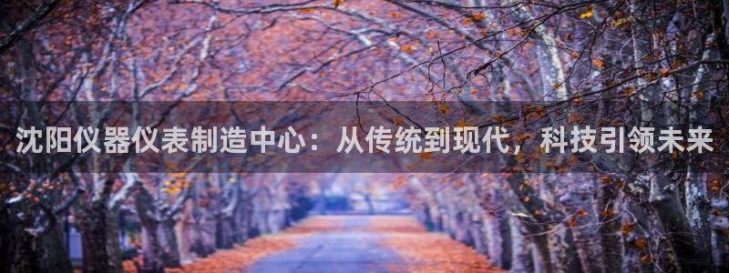 恒行2韩74OOO5：沈阳仪器仪表制造中心：从传统到现代，科