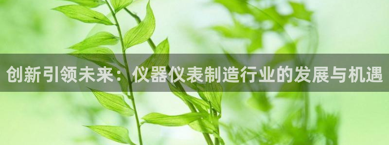 恒行娱乐吕74OOO5：创新引领未来：仪器仪表制造行业的发展