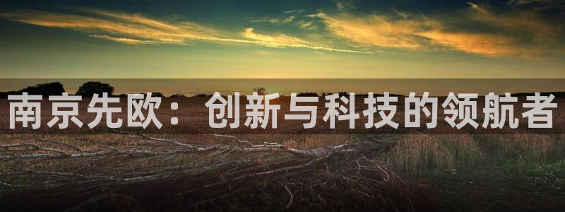 恒行娱乐寻问74 5：南京先欧：创新与科技的领航者