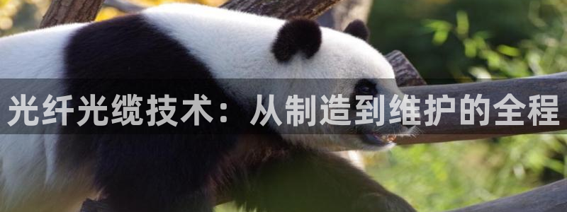 恒行主管招收 6ll5l出奇：光纤光缆技术：从制造到维护的全