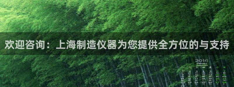 恒行5：欢迎咨询：上海制造仪器为您提供全方位的与支持