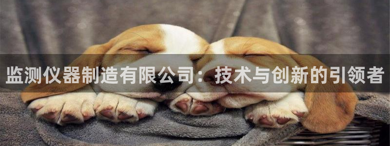 恒行娱乐老板推荐5ll533主管：监测仪器制造有限公司：技术