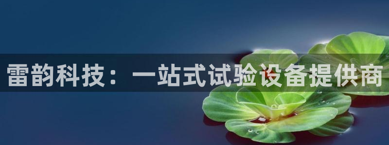 恒行主管总代6ll5l周至：雷韵科技：一站式试验设备提供商